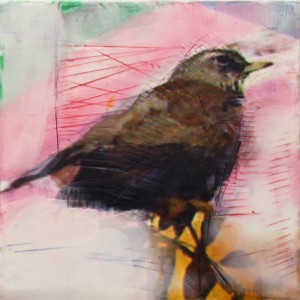 Original artwork by Barbara Downs, The Daily Bird, 2010