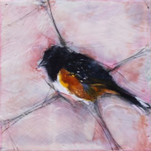 Original artwork by Barbara Downs, The Daily Bird, 2010