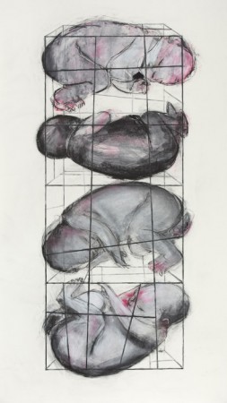 Original artwork by Barbara Downs, Concept Drawing for Baby Cage (II), 2015